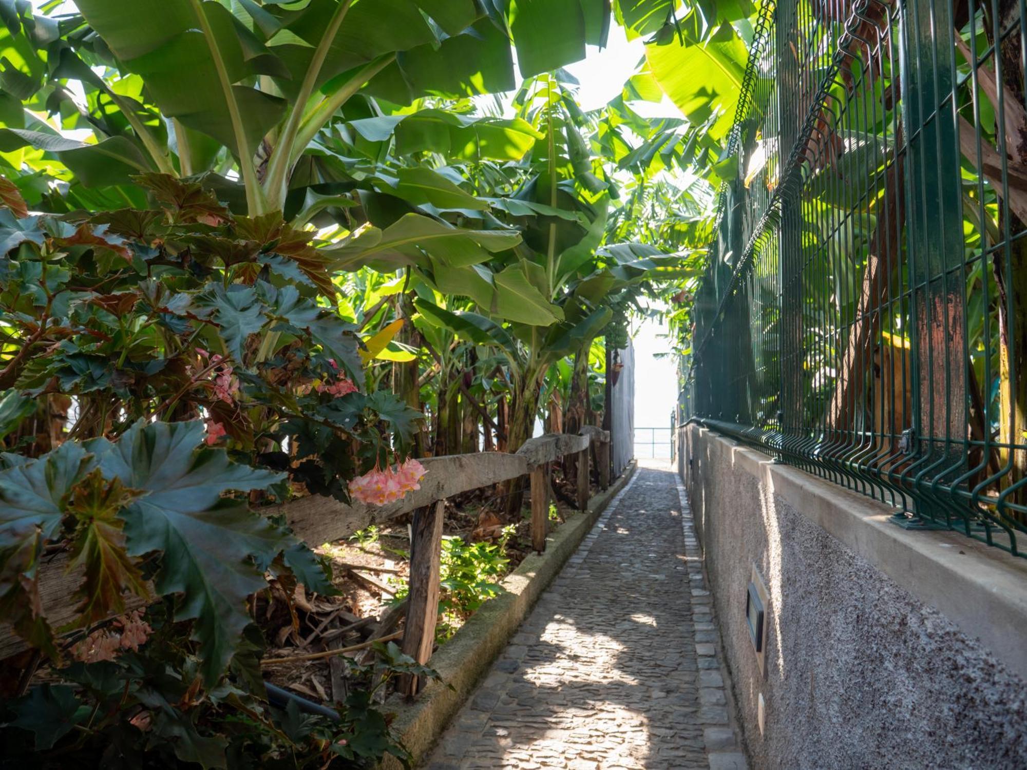 Vila Casa Dos Anjos Ponta do Sol  Exteriér fotografie